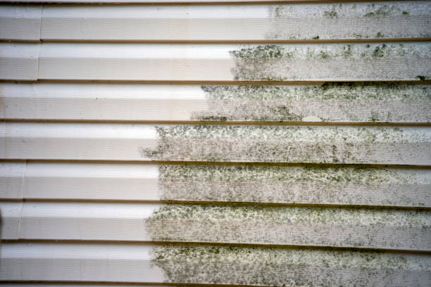 Best James Hardie Siding  in Redstone Arsen, AL